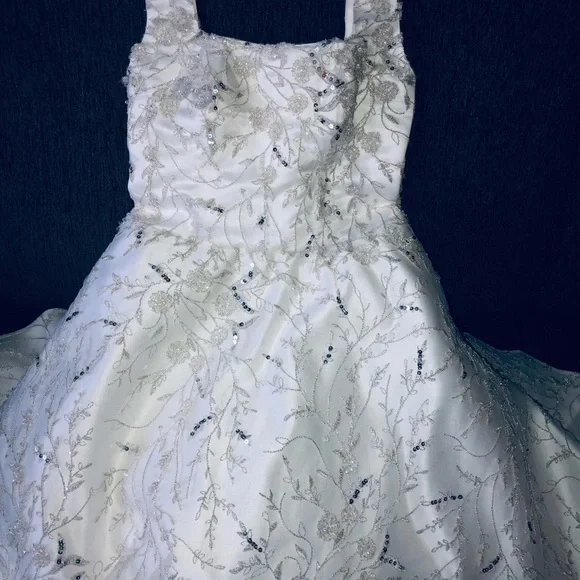 Flower girl dress with vail brand new !!